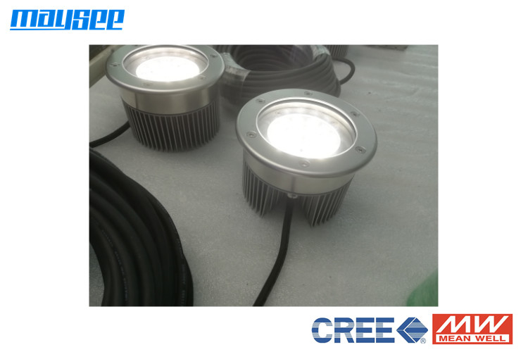 Luz de inundación de acero inoxidable de la luz LED del muelle de 316 LED resistente a la corrosión con el disipador de calor